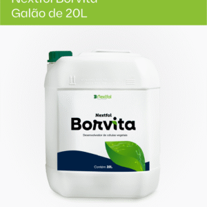 Nextfol Borvita - Galão de 20L